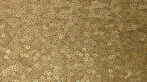 Matte Sequin - Gold - 108 Rnd rental San Antonio, TX