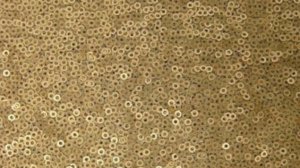 Matte Sequin - Gold - 120 Rnd rental San Antonio, TX