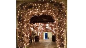 Arbor - Grapevine Wisteria Arch rental San Antonio, TX