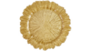 Charger - REEF GOLD 13" - Includes Placement rental in San Antonio, TX