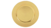 Charger - Gold Gloss Smooth 13" Acrylic - Inclu... rental in San Antonio, TX