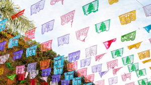 PAPEL PICADO - 50ft - COLOR - Installed/Removed... rental San Antonio, TX