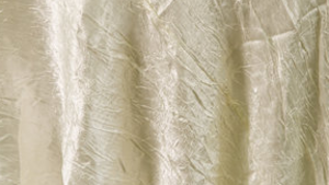 Crush Bichon - Champagne 130 - Napkin rental San Antonio, TX