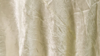 Crush Bichon - Champagne 130 - Napkin rental in San Antonio, TX
