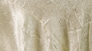 Crush Bichon - Champagne 130 - 90x156 rental San Antonio, TX