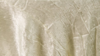 Crush Bichon - Champagne 130 - 6 x 108 (Sash) rental in San Antonio, TX