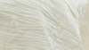 Crinkle Taffeta - Ivory - 90x156 rental in San Antonio, TX