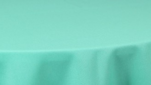 Polyester - Jade 731 - 108x156 rental San Antonio, TX