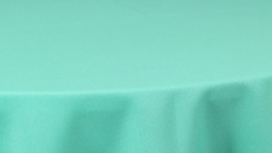 Polyester - Jade 731 - 13 x 120 (Runner) rental San Antonio, TX