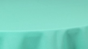 Polyester - Jade 731 - 6 x 108 (Sash) rental San Antonio, TX