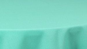 Polyester - Jade 731 - Napkin rental San Antonio, TX