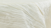 Crinkle Taffeta - Ivory - 132 Rnd rental in San Antonio, TX