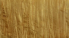Crush - Gold - 8 x 108 (Sash) rental in San Antonio, TX
