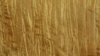 Crush - Gold - Napkin rental in San Antonio, TX