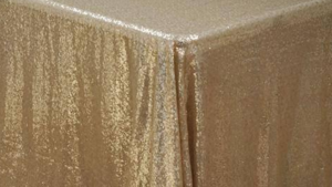 Matte Sequin - Champagne - 6 x 108 (Sash) rental San Antonio, TX