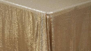 Matte Sequin - Champagne - 8 x 108 (Sash) rental San Antonio, TX