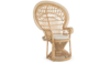 Peacock Grand Rattan Chair with Seat Cushion, N... rental in San Antonio, TX