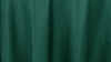 Polyester - Hunter Green - 90x156 rental in San Antonio, TX