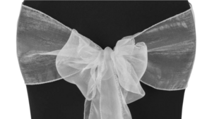 Organza - Silver - 6 x 108 (Sash) rental San Antonio, TX