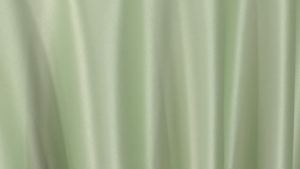 Lamour Matte Satin - Lettuce - Napkin rental San Antonio, TX