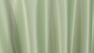 Lamour Matte Satin - Lettuce - 120 Rnd rental San Antonio, TX
