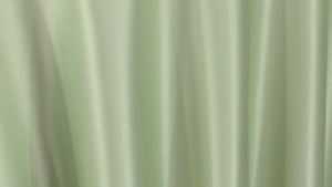 Lamour Matte Satin - Lettuce - 90x156 rental San Antonio, TX