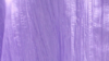 Crinkle Taffeta - Lilac 1028 - 120 Rnd rental in San Antonio, TX