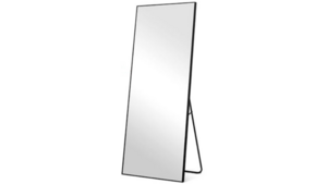 Floor Standing Full Length Mirror - Black Bezel... rental San Antonio, TX
