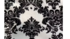 Damask Print Charmeuse - White/Black - 90x156 rental in San Antonio, TX