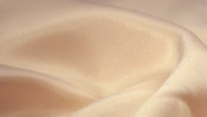 Lamour Matte Satin - Champagne 130 - 120x120 rental San Antonio, TX