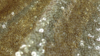 Glitz Sequin - True Gold - 120 Rnd rental in San Antonio, TX