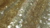 Glitz Sequin - True Gold - 132 Rnd rental in San Antonio, TX