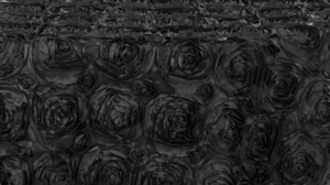 Rosette - Black - 108 Rnd rental San Antonio, TX