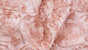 Rosette - Blush - 120 Rnd rental San Antonio, TX