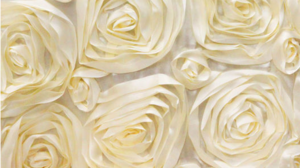 Rosette - Ivory - 108 Rnd rental San Antonio, TX