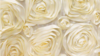 Rosette - Ivory - 108 Rnd rental in San Antonio, TX
