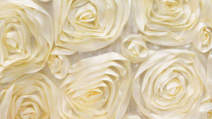 Rosette - Ivory - 132 Rnd rental San Antonio, TX