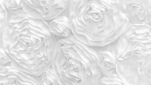Rosette - White - 132 Rnd rental San Antonio, TX
