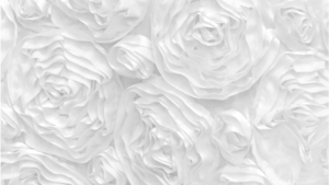 Rosette - White - 96 Rnd rental San Antonio, TX