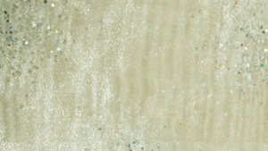 Sparkle Organza - Ivory 128 - 132 Rnd rental San Antonio, TX