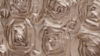 Rosette - Champagne - 132 Rnd rental in San Antonio, TX