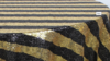 Striped Glitz Sequin - Black & Gold - 132 Rnd rental in San Antonio, TX
