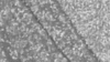 Matte Sequin - Silver - 132 Rnd rental in San Antonio, TX