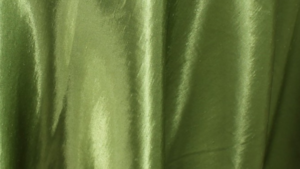 Shantuni - Dk Lime  - 120 Rnd rental San Antonio, TX