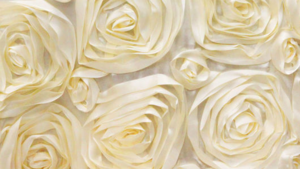 Rosette - Ivory - 108x132 rental San Antonio, TX