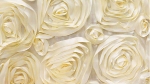 Rosette - Ivory - 120x156 rental San Antonio, TX