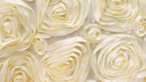 Rosette - Ivory - 18 x 120 (Runner) rental San Antonio, TX