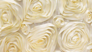 Rosette - Ivory - 6 x 108 (Sash) rental San Antonio, TX