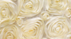 Rosette - Ivory - 6 x 108 (Sash) rental in San Antonio, TX