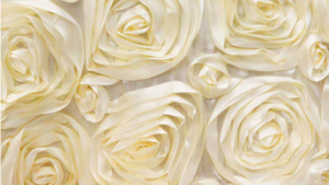 Rosette - Ivory - 8 x 108 (Sash) rental San Antonio, TX